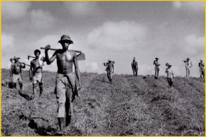 sebastiao-salgado-campo[1]